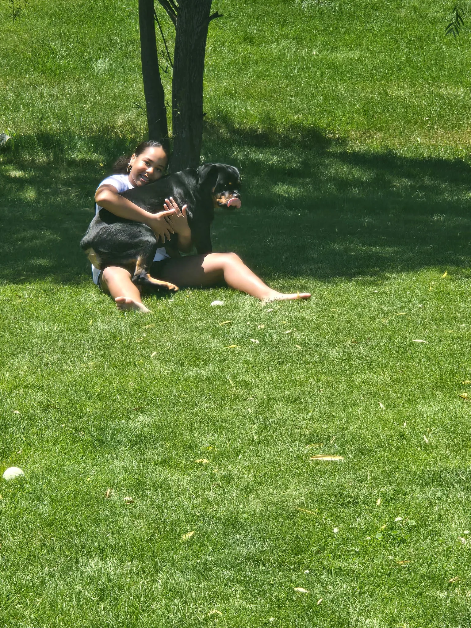 A young family member hugging Cali on the grass